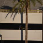 Laughlin_0122 (April 22, 2013)